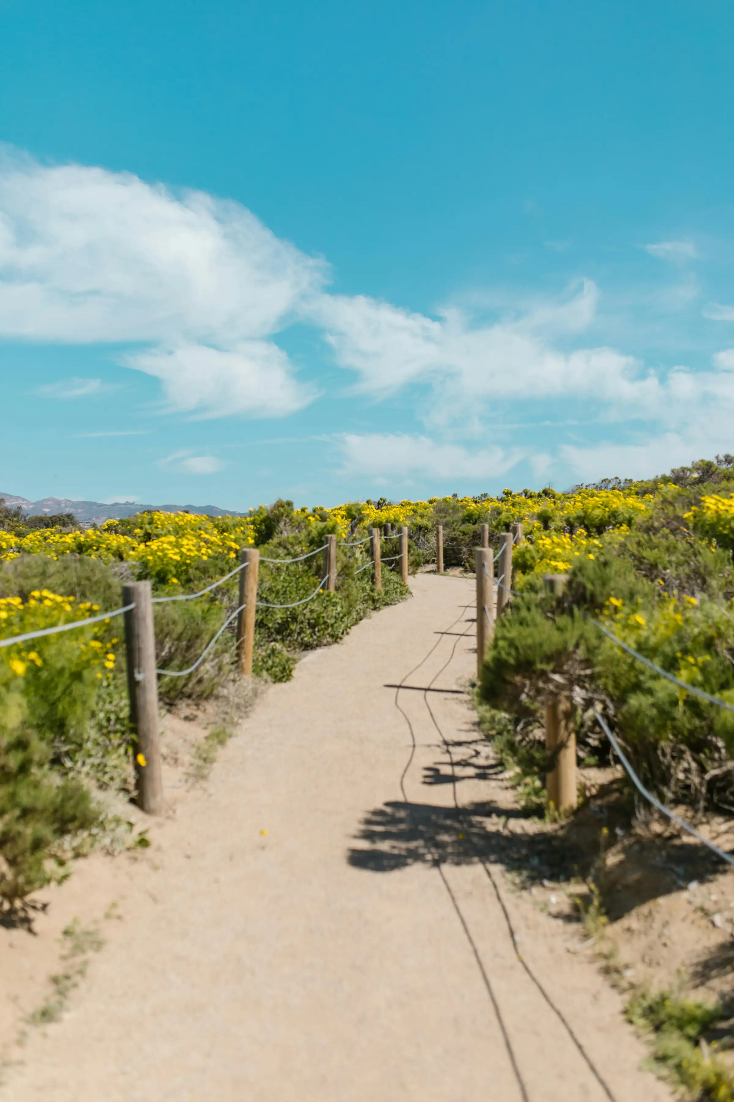Lebensberatung – innere Ruhe und Klarheit finden